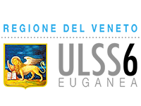 ULSS6