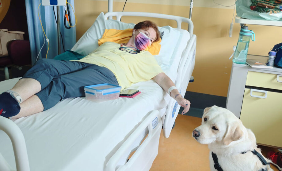 Pet therapy in oncologia con una cagnolina accanto a una paziente durante la chemioterapia
